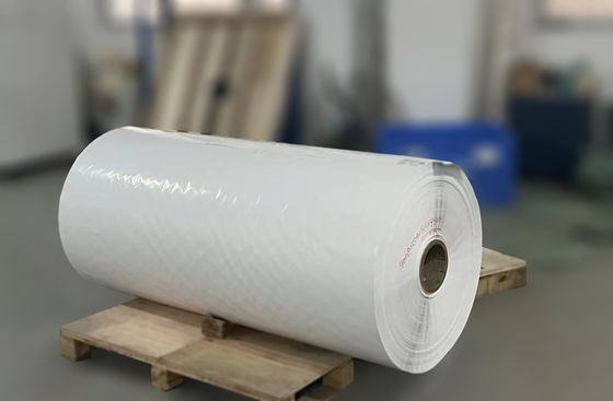 Papel de etiqueta transparente BOPP em rolos em branco