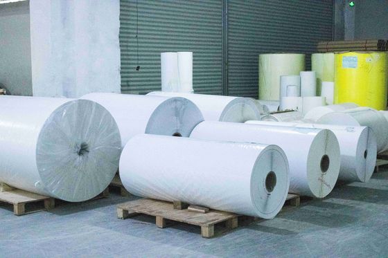 Impressão de gravura de rolo de adesivos em branco