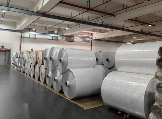 80 g/m2 Papel revestido de alta qualidade,Adesivo acrílico permanente de viscosidade,Filma PET transparente