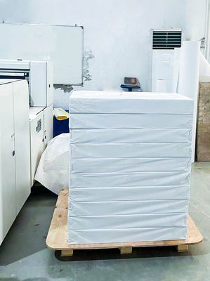 Tipo de cola de óleo Etiquetas de impressão auto-aderentes Papel MATTE PRATA PET