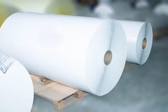 Etiqueta térmica auto-aderente Jumbo Roll, papel pegajoso para trás 54u Espessura da superfície