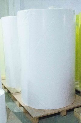 Etiqueta térmica auto-aderente Jumbo Roll, papel pegajoso para trás 54u Espessura da superfície
