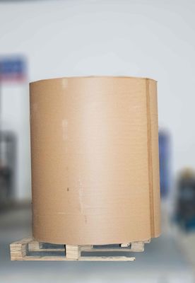 Rolo Jumbo Termal Removível de Cola, Rolo de Papel Liner de Liberação 1000m de comprimento