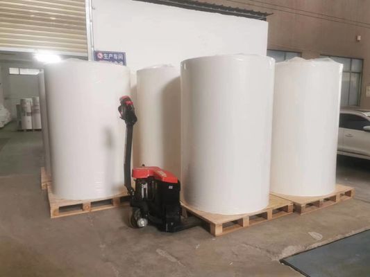 Materiais de impressão Papel revestido com adesivo permanente e película PET transparente