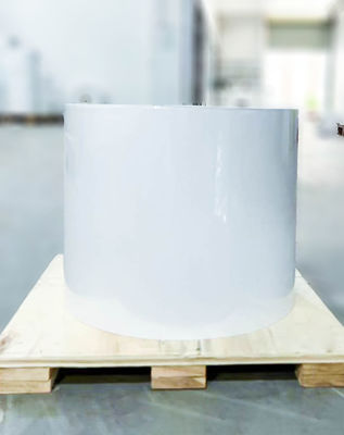 Bom preço Rolo de etiqueta BOPP normal, pegajoso, transparente, cola de óleo, papel kraft. on-line